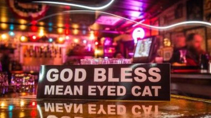 Mean Eyed Cat