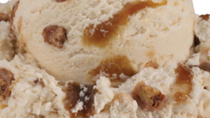 Baskin Robbins Starring Lane