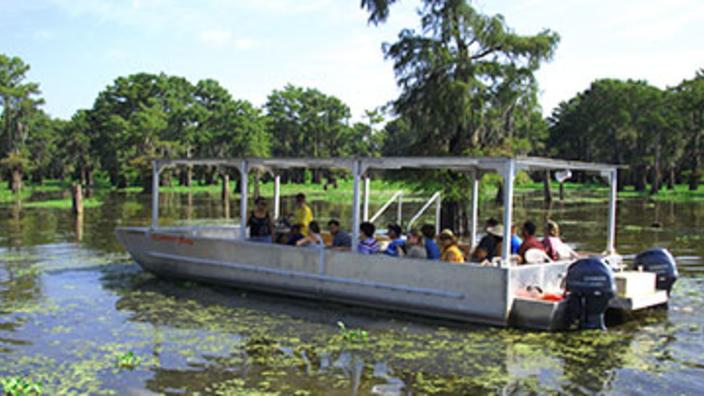Mcgee S Louisiana Swamp Tours Adventures