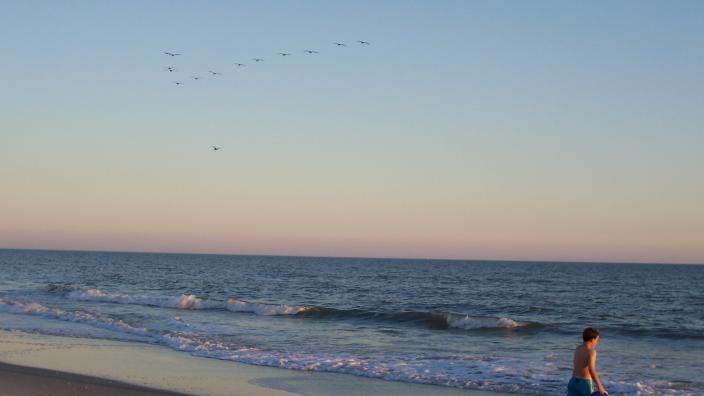 Holden Beach Vacations Holden Beach Nc 28462