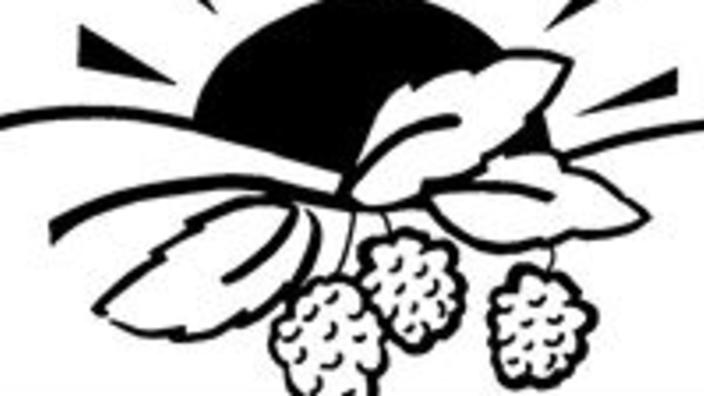Hill Top Berry Farm And Winery