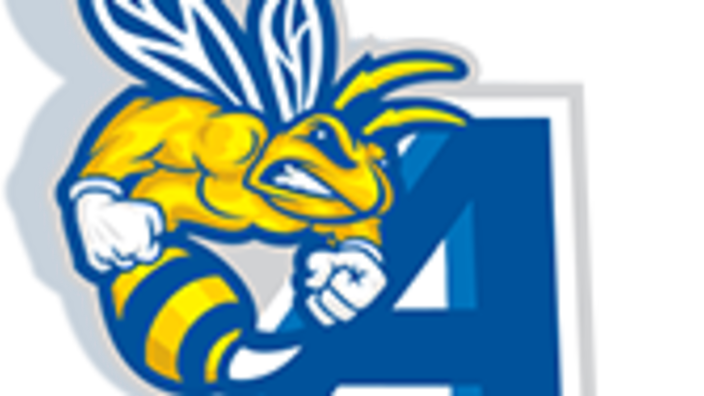 Allen University Yellow Jackets Columbia Sc 29204