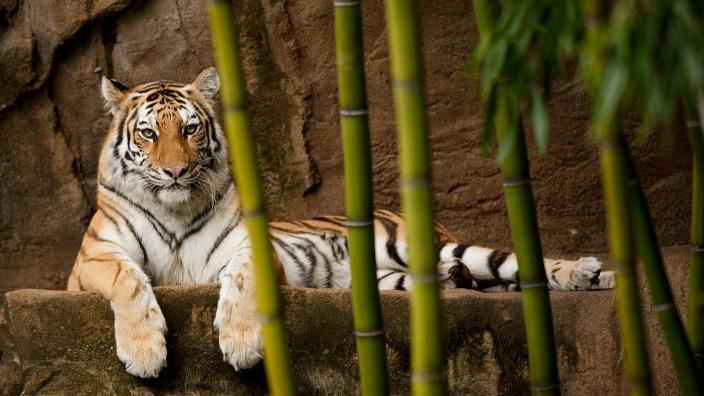 Riverbanks Zoo & Garden | Columbia, SC 29210