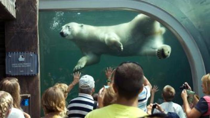 Columbus Zoo And Aquarium Powell Oh 43065