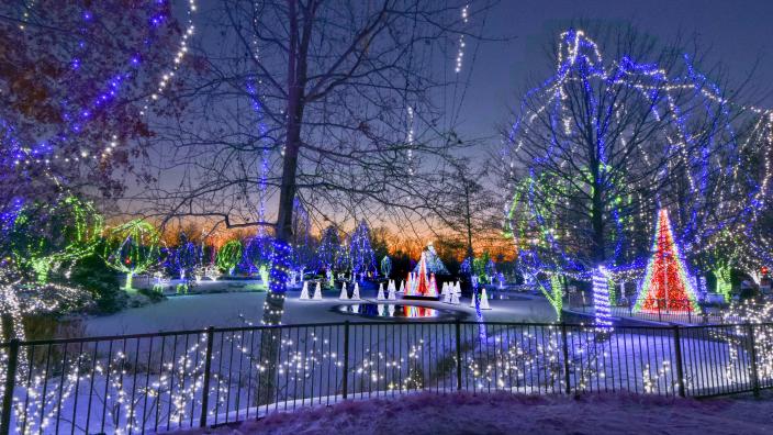 Wildlights 2021 | 11/19/21 - 1/2/22 | Powell, OH 43065