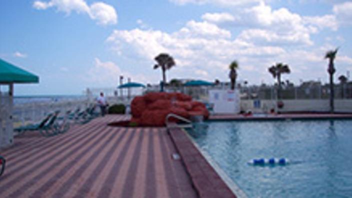 Blue Mule Vacation Rentals Daytona Beach Fl 32118