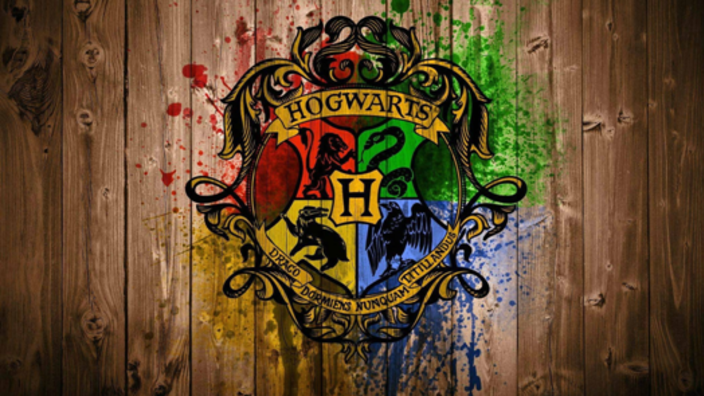 Harry Potter at Liberty Hall