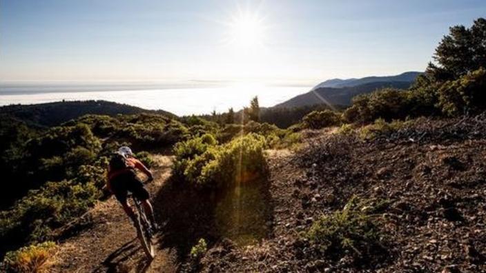 paradise royale mountain bike trail