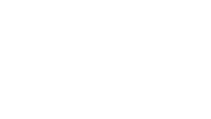 Pei Wei Asian Diner