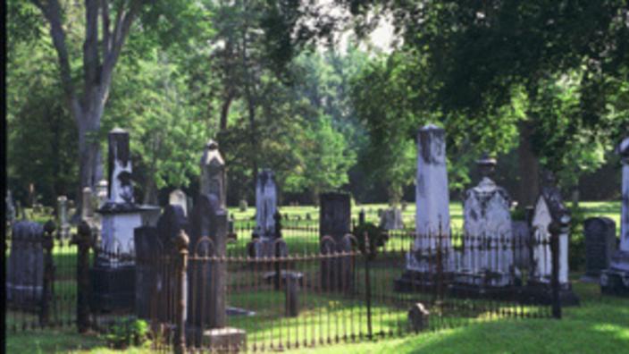 Stop 02 Cross Creek Cemetery As there is no map. stop 02 cross creek cemetery