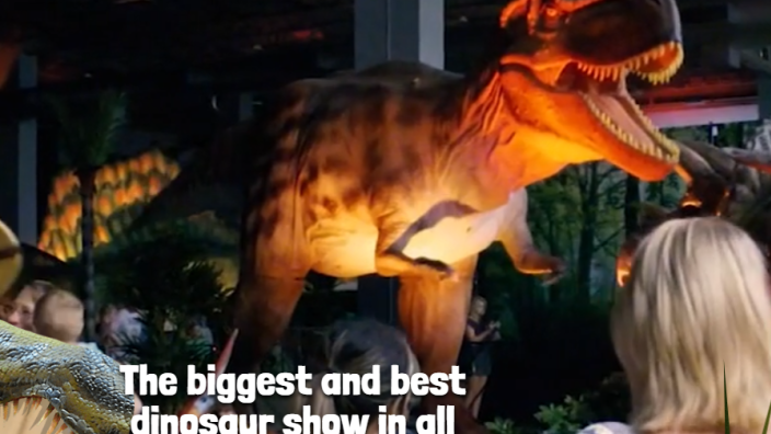 Jurassic Quest - Flint
