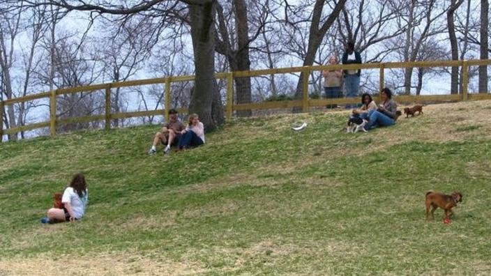 Woodville Dog Park