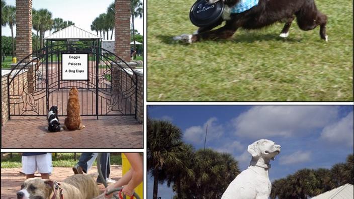 Happy Tails Dog Park