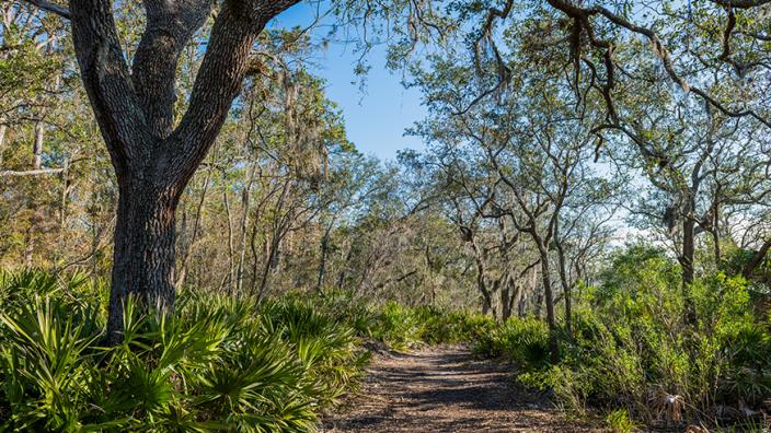 Blythe Island Campground Map Blythe Island Regional Park Brunswick Ga 31523