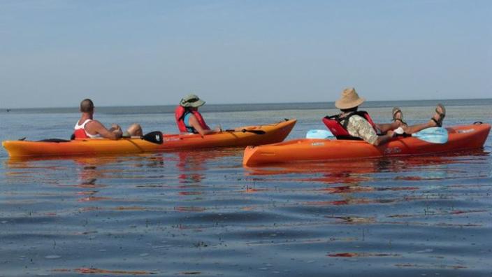 Cattail Kayak Rental Llc Pinconning Mi 48650