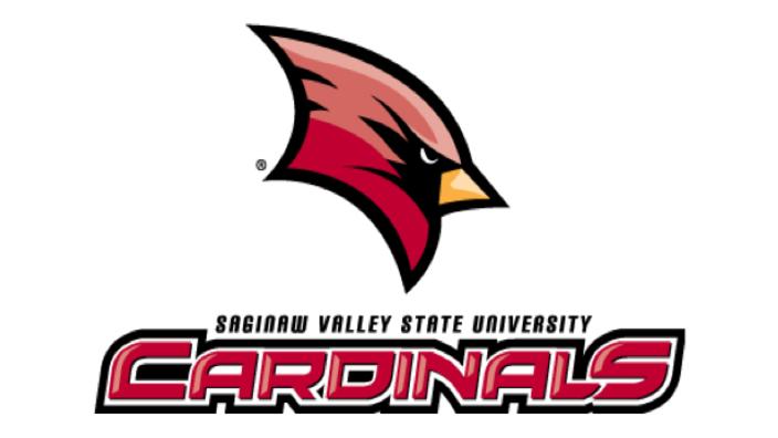 Saginaw Valley State University University Center Mi 48710