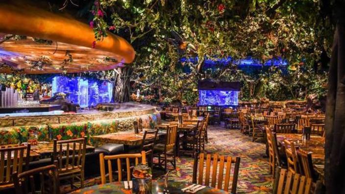 Rainforest Cafe Katy Restaurants In Katy Tx