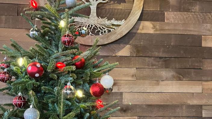 Christmas village baltimore coupon