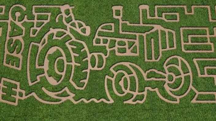 Boyette Family Farms