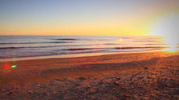 Holly Beach Cajun Riviera