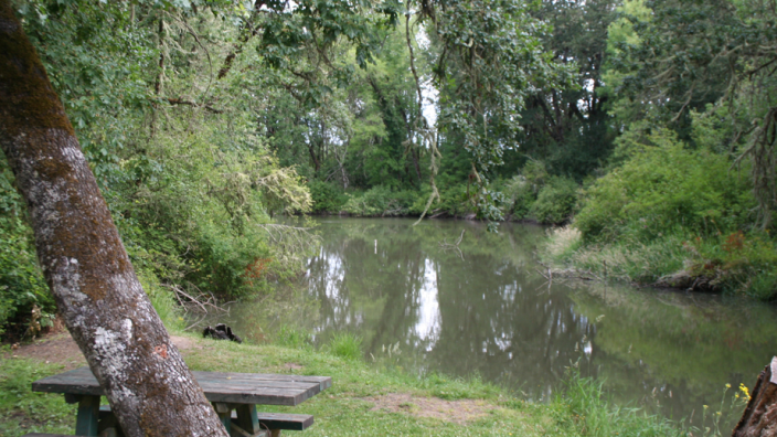 Coyote Creek Nature Trail