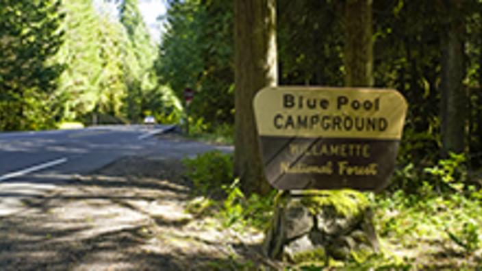 camping near tamolitch blue pool