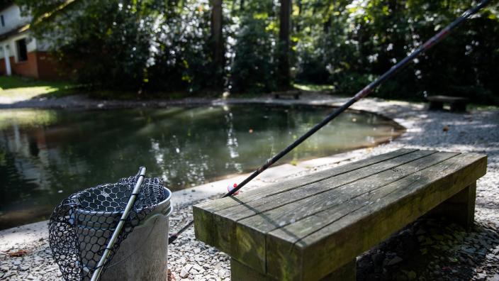 Laurel Hill Trout Farm And Pond