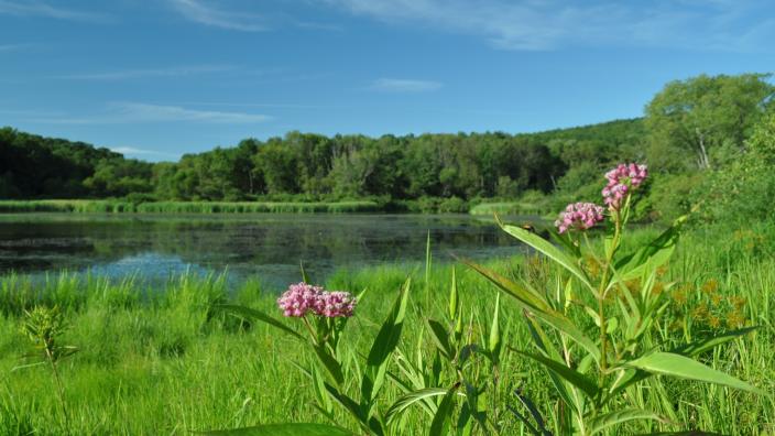 Keystone State Park