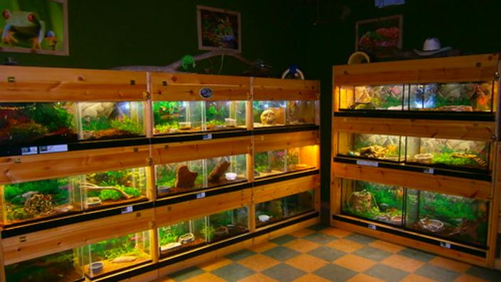 CountryMax - Geneseo