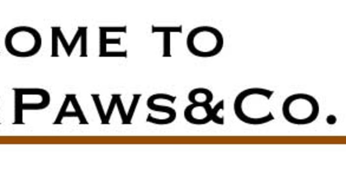 Four Paws & Co