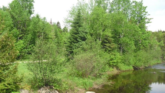 Mattawamkeag Wilderness Park Campground Mattawamkeag Me 04459