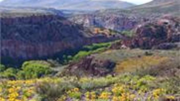 Gila Lower Box Canyon Blm Lordsburg Nm 88045