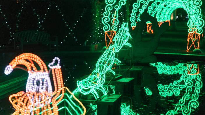 Celebration in the Oaks