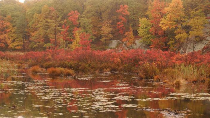 Seven Lakes Drive Bear Mountain Ny 10911
