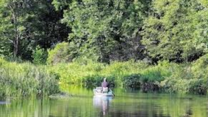 Basha Kill Wildlife Management Area Wurtsboro Ny 12790