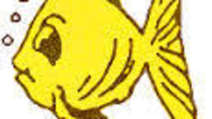 Golden Fish Cabins Cottages Pulaski Ny 13142