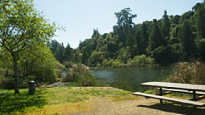 1645 natural outdoor