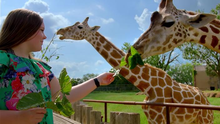 Oklahoma City Zoo Botanical Garden