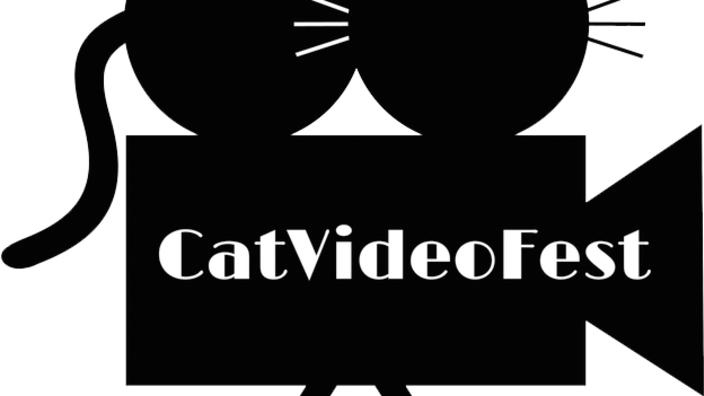 Cat Video Festival 3 Aug 2019