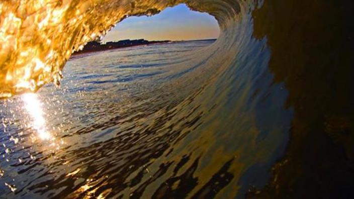 Duck Village Outfitters Salvo