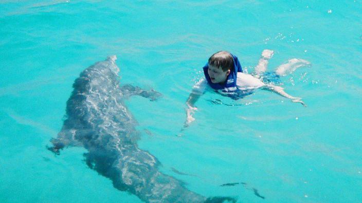 Panama City Beach Fl Swim With Dolphins