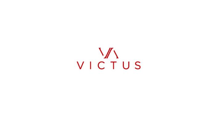 Victus Advisors Llc