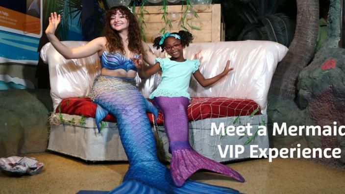 Meet a Mermaid VIP Experience