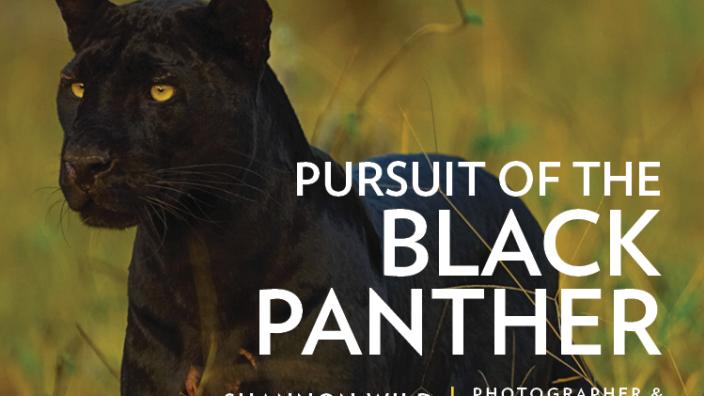 National Geographic Live: Pursuit of the Black Panther
