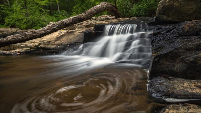 Prince William Forest Park