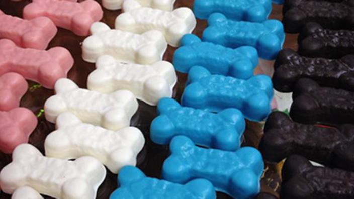 Fetch Doggy Boutique & Bakery