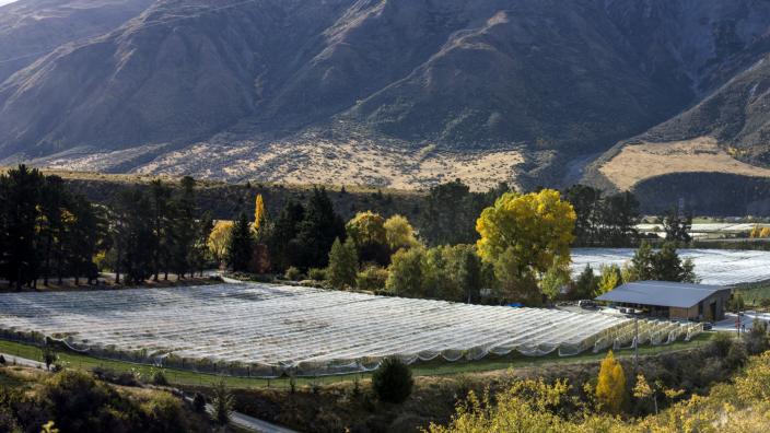 Coal Pit Vineyard Winery Official Queenstown Website