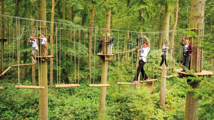 Go Ape Treetop Adventure Treetop Journey Raleigh Nc Go Ape Treetop Adventure Treetop Journey Raleigh Nc