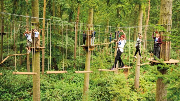 Go Ape Treetop Adventure Treetop Journey Raleigh Nc