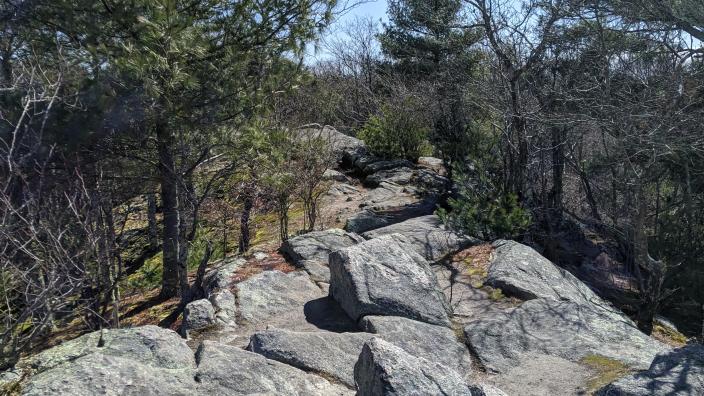 Weetamoo Woods Trail Map Weetamoo Woods Tiverton Ri 02878